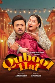 Qubool Hai (2025) S01 [Hindi ORG] UPlay WEB-DL 1080p – 720p – 480p Download & Online Watch