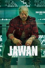 Jawan (2023) Extended Cut [Hindi] NetFlix WEB-DL ESub 1080p – 720p – 480p Download & Online Watch