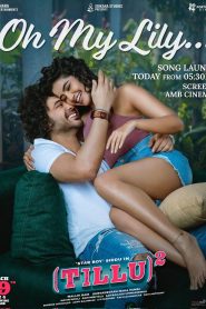 Tillu Square (2024) Hindi Dubbed Netflix WEB-DL 1080P – 720P – 480P Download