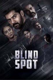 Blind Spot (2025) Dual Audio [Hindi-Telugu] WEB-DL ESub 1080p – 720p – 480p Download & Online Watch