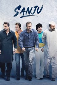 Sanju (2018) Hindi WEB-DL 1080P – 720P – 480P Download
