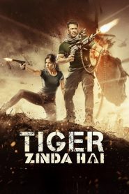 Tiger Zinda Hai (2017) BluRay [Hindi] 1080p – 720p – 480p Download