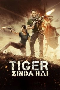 Tiger Zinda Hai (2017) BluRay [Hindi] 1080p – 720p – 480p Download